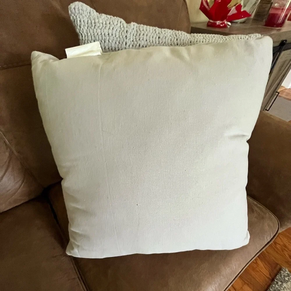 Throw pillows 20X20 NWOT